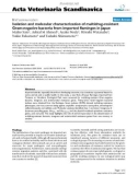 Báo cáo khoa học: Isolation and molecular characterization of multidrug-resistant Gram-negative bacteria from imported flamingos in Japan