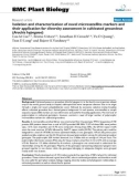 báo cáo khoa học: Isolation and characterization of novel microsatellite markers and their application for diversity assessment in cultivated groundnut (Arachis hypogaea)