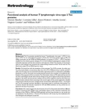 Báo cáo y học: Functional analysis of human T lymphotropic virus type 2 Tax proteins