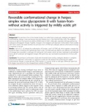 Báo cáo y học: Reversible conformational change in herpes simplex virus glycoprotein B with fusion-fromwithout activity is triggered by mildly acidic pH