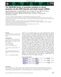 Báo cáo khoa học: The ROQUIN family of proteins localizes to stress granules via the ROQ domain and binds target mRNAs