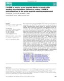 Báo cáo khoa hoc : Leu138 in bovine prion peptide ﬁbrils is involved in seeding discrimination related to codon 129 M ⁄ V polymorphism in the prion peptide seeding experiment