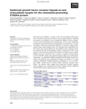 Báo cáo khoa học: Epidermal growth factor receptor ligands as new extracellular targets for the metastasis-promoting S100A4 protein