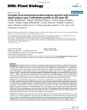 báo cáo khoa học: Cytosolic N-terminal arginine-based signals together with a luminal signal target a type II membrane protein to the plant ER