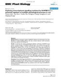 báo cáo khoa học: Exploring transcriptional signalling mediated by OsWRKY13, a potential regulator of multiple physiological processes in rice