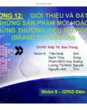 Thuyết trình: Giới thiệu và đặt tên cho những sản phẩm mới hoặc cho những thương hiệu mở rộng (brand extension)