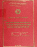 Luận văn: Phân tích quá trình đàm phán gia nhập WTO của Việt nam và những bài học kinh nghiệm rút ra cho các doanh nghiệp Việt Nam