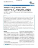 báo cáo khoa học: Disruption of actin filaments induces mitochondrial Ca2+ release to the cytoplasm and [Ca2+]c changes in Arabidopsis root hairs