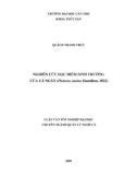 LUẬN VĂN TỐT NGHIỆP NGHIÊN CỨU ĐẶC ĐIỂM SINH TRƯỞNG CỦA CÁ NGÁT (Plotosus canius Hamilton, 1822)