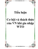 Tiểu luận Cơ hội và thách thức của VN khi gia nhập WTO