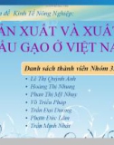 BÁO CÁO SẢN XUẤT VÀ XUẤT KHẨU GẠO Ở VIỆT NAM