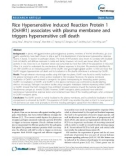 báo cáo khoa học: Rice Hypersensitive Induced Reaction Protein 1 (OsHIR1) associates with plasma membrane and triggers hypersensitive cell death