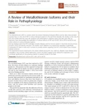 báo cáo khoa học: A Review of Metallothionein Isoforms and their Role in Pathophysiology