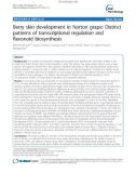 báo cáo khoa học: Berry skin development in Norton grape: Distinct patterns of transcriptional regulation and flavonoid biosynthesis