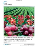 báo cáo khoa học: An EST-based analysis identifies new genes and reveals distinctive gene expression features of Coffea arabica and Coffea canephora