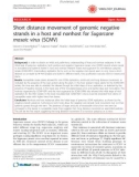 Báo cáo y học: Short distance movement of genomic negative strands in a host and nonhost for Sugarcane mosaic virus (SCMV)