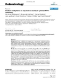 Báo cáo y học: Protein methylation is required to maintain optimal HIV-1 infectivity