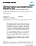 Báo cáo khoa học: The interaction of hepatitis A virus (HAV) with soluble forms of its cellular receptor 1 (HAVCR1) share the physiological requirements of infectivity in cell culture