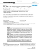 Báo cáo y học: Open Access SIVSM/HIV-2 Vpx proteins promote retroviral escape from a proteasome-dependent restriction pathway present in human dendritic cells