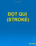 Bài giảng Đột quị (Stroke)