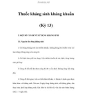 Thuốc kháng sinh kháng khuẩn (Kỳ 13)