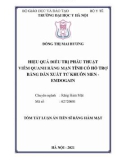 Tóm tắt luận án Tiến sĩ Răng hàm mặt: Hiệu quả điều trị phẫu thuật VQR mạn tính có hỗ trợ bằng dẫn xuất từ khuôn men - Emdogain