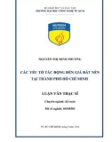 Luận văn Thạc sĩ Kế toán: Các yếu tố tác động đến giá đất nền tại thành phố Hồ Chí Minh