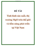 ĐỀ TÀI Tình hình sản xuất, thị trường MgO trên thế giới và tiềm năng phát triển tại Việt Nam