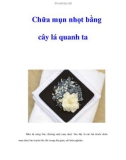 Chữa mụn nhọt bằng cây lá quanh ta