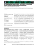 Báo cáo khoa học: Differential expression of liver and kidney proteins in a mouse model for primary hyperoxaluria type I