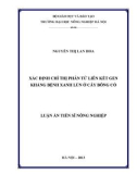 Luận án Tiến sĩ: Xác định chỉ thị phân tử liên kết gen kháng bệnh xanh lùn ở cây bông cỏ