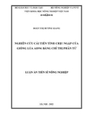 Luận án Tiến sĩ Nông nghiệp: Nghiên cứu cải tiến tính chịu ngập của giống lúa AS996 bằng chỉ thị phân tử