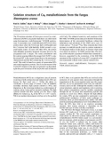 Báo cáo khoa học: Solution structure of Cu6 metallothionein from the fungus Neurospora crassa