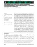 Báo cáo khoa học: Hydrogen peroxide efﬂux from muscle mitochondria underestimates matrix superoxide production – a correction using glutathione depletion