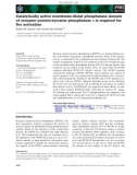 Báo cáo khoa học: Catalytically active membrane-distal phosphatase domain of receptor protein-tyrosine phosphatase a is required for Src activation