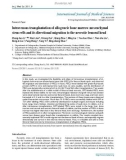 Báo cáo y học: ntravenous transplantation of allogeneic bone marrow mesenchymal stem cells and its directional migration to the necrotic femoral head