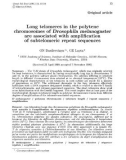 Báo cáo sinh học: Long telomeres in the polytene chromosomes of Drosophila melanogaster are associated with amplification of subtelomeric repeat sequences