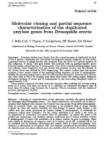 Báo cáo sinh học: Molecular cloning and partial sequence characterization of the duplicated amylase genes from Drosophila erecta