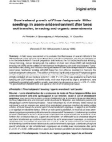 Báo cáo lâm nghiệp: Survival and growth of Pinus halepensis Miller seedlings in a semi-arid environment after forest soil transfer, terracing and organic amendments