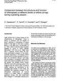 Báo cáo khoa học: Comparison between the structure and function of chloroplasts at different levels of willow canopy during a growing season