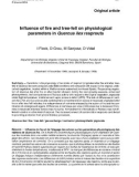 Báo cáo lâm nghiệp: Influence of fire and tree-fell on physiological parameters in Quercus ilex resprouts