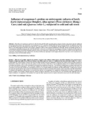 Báo cáo lâm nghiệp: Influence of exogenous L-proline on embryogenic cultures of larch (Larix leptoeuropaea Dengler), sitka spruce (Picea sitchensis (Bong.) Carr.) and oak (Quercus robur L.) subjected to cold and salt stress