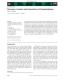 Báo cáo khoa học: Structure, location and interactions of G-quadruplexes