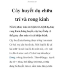 Cây huyết dụ chữa trĩ và rong kinh