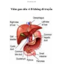 Viêm gan siêu vi B không di truyền