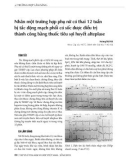 Nhân một trường hợp phụ nữ có thai 12 tuần bị tắc động mạch phổi có sốc được điều trị thành công bằng thuốc tiêu sợi huyết alteplase