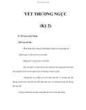 VẾT THƯƠNG NGỰC (Kỳ 2)