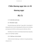 Chấn thương ngực kín và vết thương ngực (Kỳ 2)