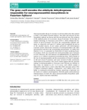 Báo cáo khoa học: The gene carD encodes the aldehyde dehydrogenase responsible for neurosporaxanthin biosynthesis in Fusarium fujikuroi