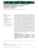 Báo cáo khoa học: BchJ and BchM interact in a 1 : 1 ratio with the magnesium chelatase BchH subunit of Rhodobacter capsulatus